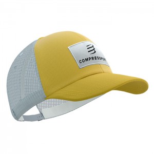 TRUCKER 6P CAP GREY