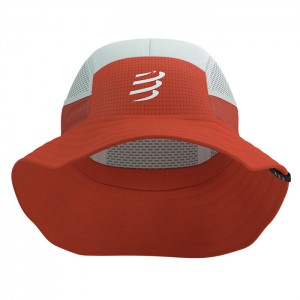 ICE BOB TIGERLY/STAR WHITE