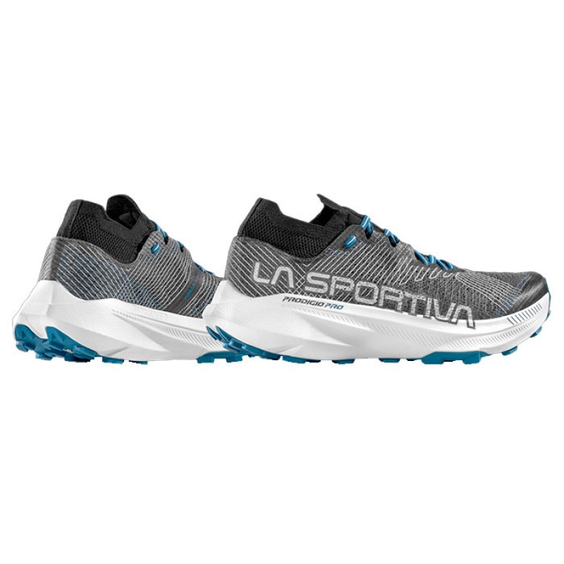 PRODIGIO PRO CARBON/LAKE