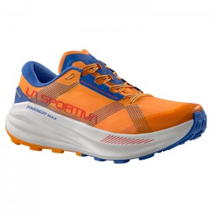 PRODIGIO MAX APRICOT/COBALT BLUE