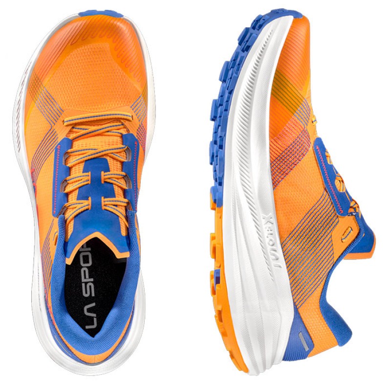 PRODIGIO MAX APRICOT/COBALT BLUE