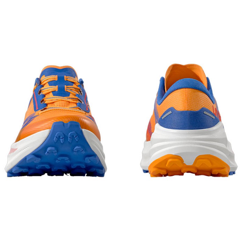 PRODIGIO MAX APRICOT/COBALT BLUE