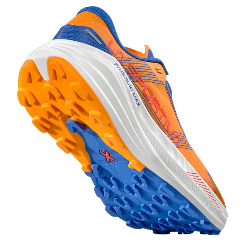 PRODIGIO MAX APRICOT/COBALT BLUE
