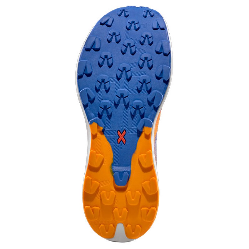 PRODIGIO MAX APRICOT/COBALT BLUE