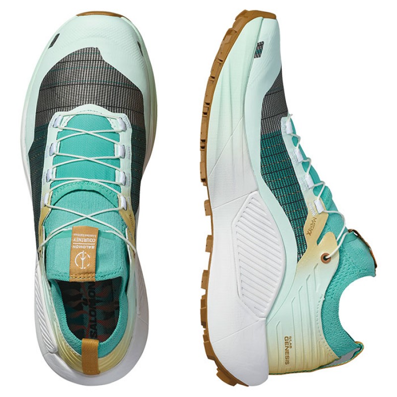 S-LAB GENESIS LTD COURTNEY V2